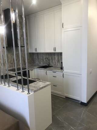 Апартаменты Aquamarine Apartment Одесса Апартаменты с 1 спальней-6